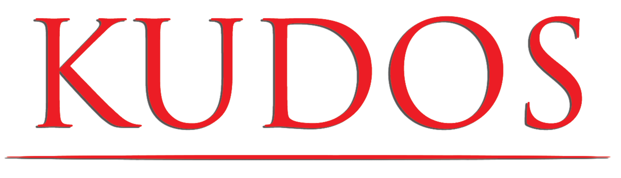 KUDOS LLC